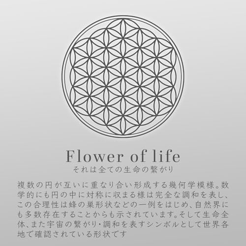 DANNY LIB フラワーオブライフ チャーム|ステンレス製の使用イメージ