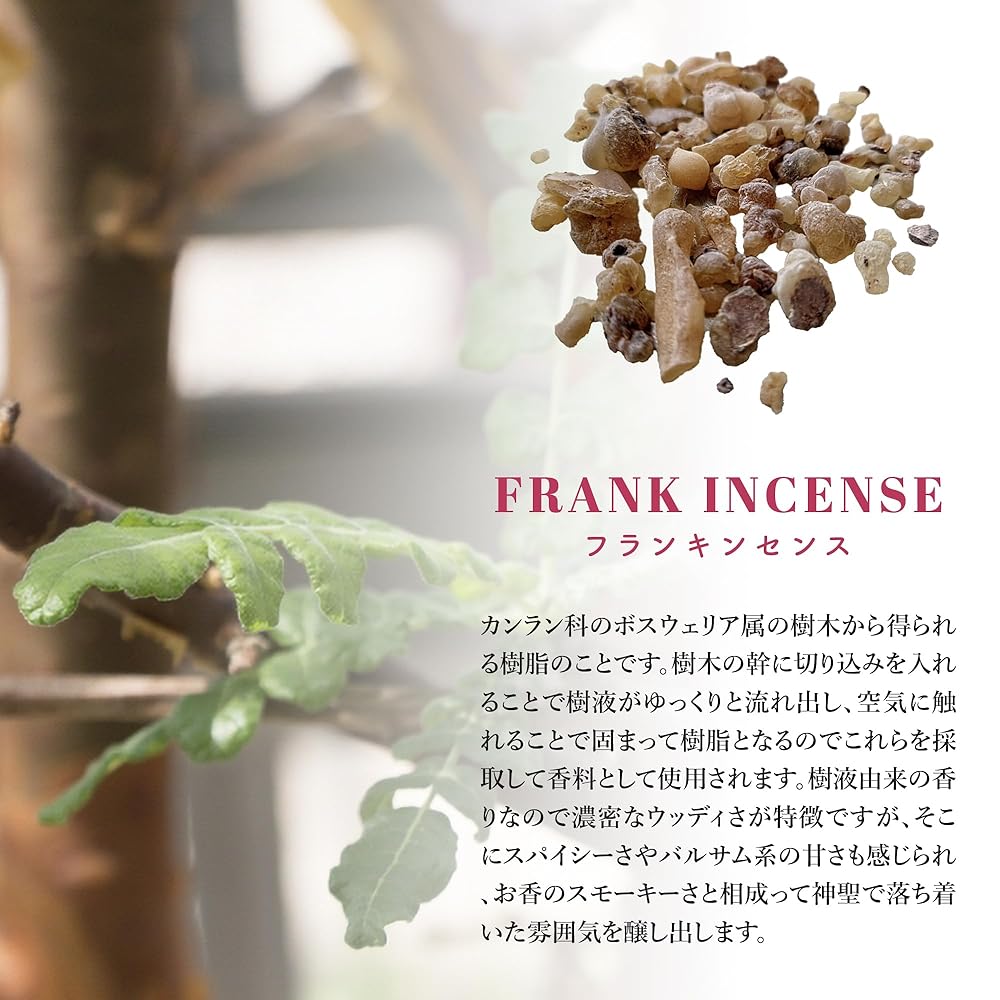 フランキンセンスの樹脂とボスウェリアの木の参考画像